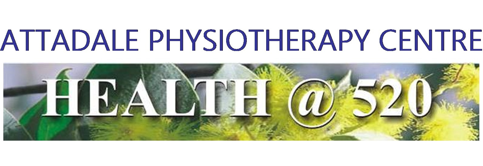 Attadale Physiotherapy Logo